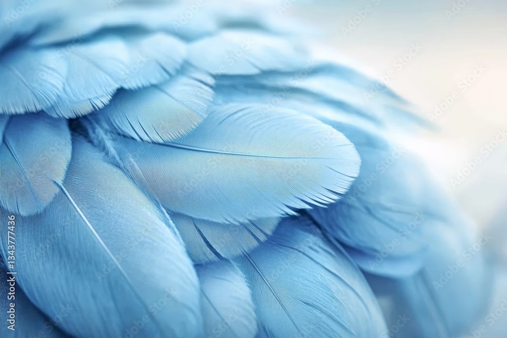 Poster detailed close-up of soft blue feathers showcasing texture and color in natural light settings durin