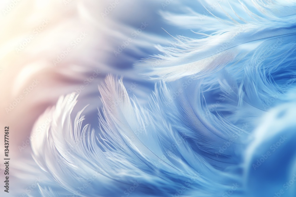 Poster soft blue feathers created a gentle texture, capturing light in an ethereal manner, evoking calmness