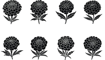 marigold flower silhouette vector set isolated on white background