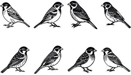 Obraz premium sparrow silhouette vector set isolated on white background