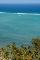 mały katamaran zacumowany w lagunie przy brzegu porośniętym palmami