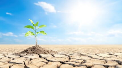 A small green plant emerges from cracked dry soil under a bright sky, symbolizing resilience and hope in a challenging environment.