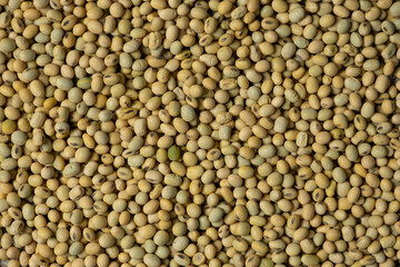 Organic raw soybeans close-up, vegan superfood, top view