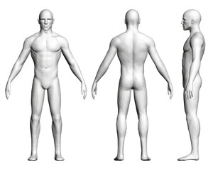 A man is shown in three different poses. Front, back and side view. 3D