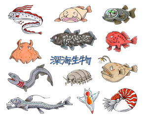 深海生物セット