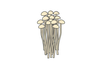 えのき, えのき茸, きのこ, 食材, 野菜, キノコ類, 料理, ベジタブル, ヘルシー, 健康食品, 栄養, 低カロリー, 食物繊維, 免疫力アップ, ダイエット食材, 和食, 鍋料理, 味噌汁, スープ, 炒め物, きのこレシピ, 料理アイコン, イラスト素材, ベクターイラスト, シンプルイラスト, 飲食店メニュー, スーパー, 八百屋, 食材イラスト, 食事, イラスト, ベクター, デ