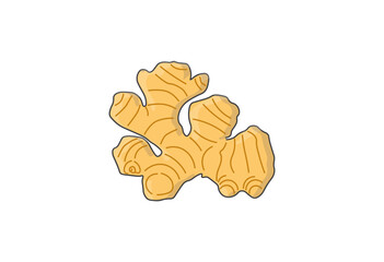 生姜, しょうが, ショウガ, スパイス, 香辛料, 食材, ベクターイラスト, かわいいイラスト, 薬味, 料理素材, 調味料, 健康食品, 免疫力アップ, 温活, 和食, 中華料理, エスニック料理, 食品デザイン, メニュー素材, アイコン, ヘルシーフード, 漬物, ジンジャー, ジンジャーティー, ジンジャーシロップ, 料理, 自然食品, スーパー, レシピ, SNS投稿素材, 食べ物,