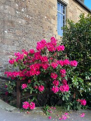 Traditional stone house in Brittany decorated with flowers. A typical village in France
