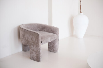 Plush Velvet Armchair in Contemporary Interior