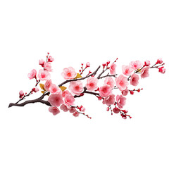 Cherry blossom branch with pink flowers and buds against a white background capturing the essence of springtime beauty
