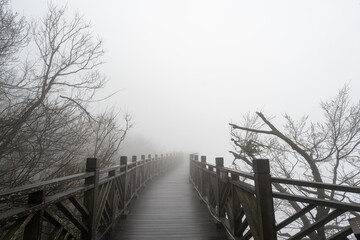 Bridge in the fog