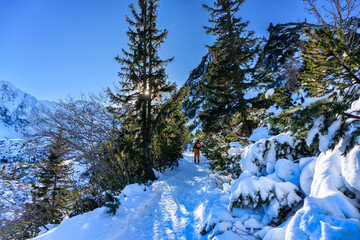 Winter landscape of the Tatra Mountains, Poland