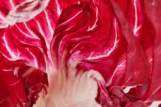 Radicchio, red salad macro texture. Texture close up background. Top view. Food concept. Design element.