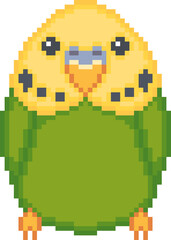 Obraz premium Budgie Pixel Art