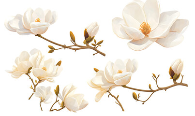 Creative 2D Doodle Floral Illustrations on White Background