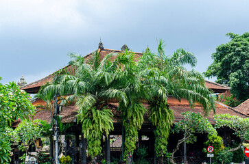 tropical garden in thailand