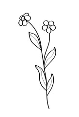 Sketch of a forget-me-not wildflower. Vector illustration of a spring flower icon. Isolate on white.