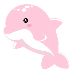 Cute dolphin