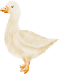 watercolor goose © Je