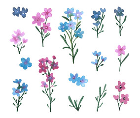 Watercolor illustration of delicate wildflowers in blue-pink shades.The light and elegant style is perfect for designing wedding stationery,textiles.