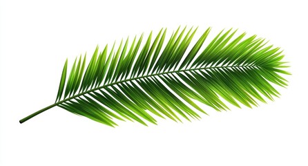 Fototapeta premium Vibrant tropical palm leaf