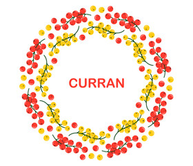 Red and yellow сurran circle frame. Round fresh summer juicy berry border. Flat Vector illustration on white background