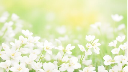 spring flowers background