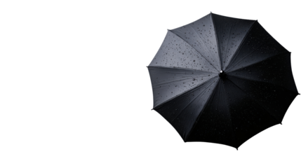 Protection from Above: A sleek black umbrella stands open, displaying a perfect radial design. The water droplets suggest a rainy day. A minimalist perspective of protection.