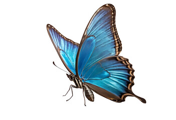 A morpho butterfly with vibrant blue wings that shimmer in the light. The image captures the butterfly in a side view, isolated on a transparent background (PNG).