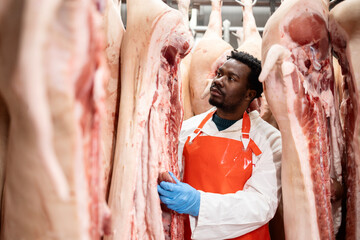 Professional butcher or food worker moving raw meat to the production line.