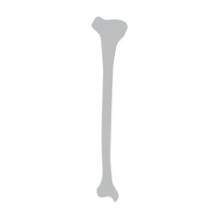 tibia bone anterior icon