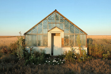 Obraz premium An old greenhouse with cracked glass and overgrown plants, standing alone in a vast, open field under a clear blue sky.
