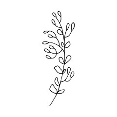 abstract floral plant outline