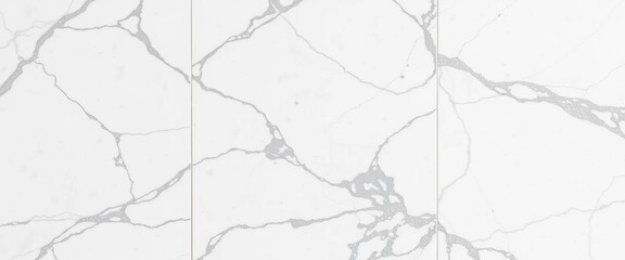Obraz premium High-resolution seamless top view of luxurious white-grey marble tile texture with glitter , premium, design