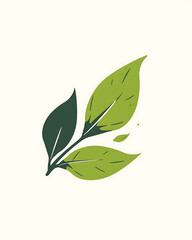 Fototapeta premium Illustration of matcha tea leaves, harvesting, processing, traditional tools, tea ceremonies, matcha beverages, desserts, and green tea plantations on a white background.