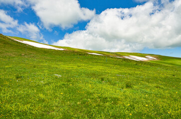 alpine meadows and melting snow on Mount Teghenis (Tsaghkadzor, Armenia) 