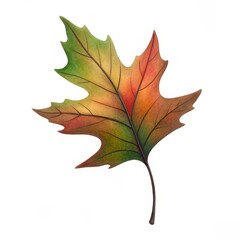 Obraz premium Camping theme, Colorful autumn leaf with intricate details and gradients of green, orange, and yellow.