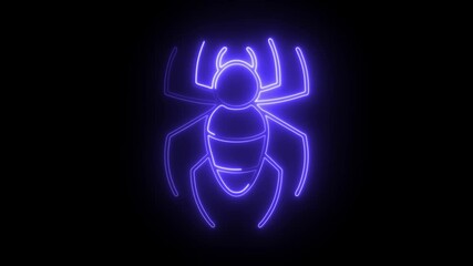 Glowing neon spider icon isolated on black background. HD Video motion graphic animation