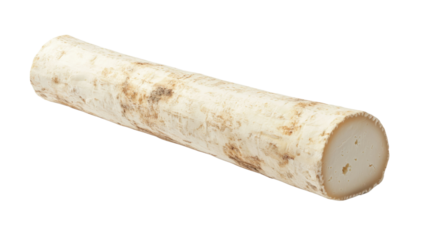 Log of fresh goat cheese with mold rind on a transparent background Gourmet French cheese concept for healthy eating and culinary arts