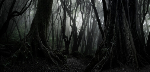 Sunlight streaming through the dense foliage of a tropical rainforest