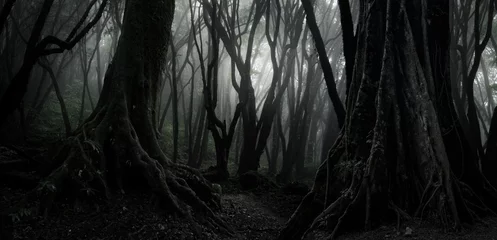 Gardinen Zauberwald Sunlight streaming through the dense foliage of a tropical rainforest  © quickshooting