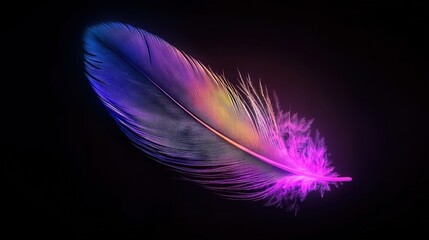  A close-up photo of a purple and blue feather against a black background with reflected light