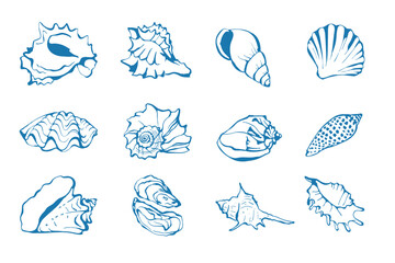 Hand drawn sea shells set in sketch style. Simple design for greeting cards, invitations, poster, postcards, branding, logo design