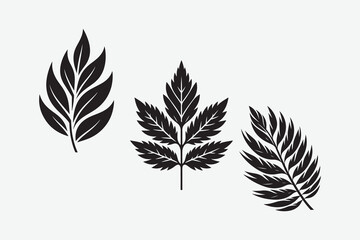 Fototapeta premium silhouette of leaf set in three