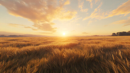 Vast Golden Wheat Field at Sunset with Warm Sky and Glowing Horizon