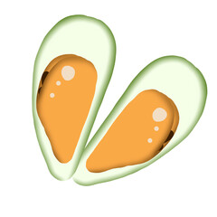 Mussel