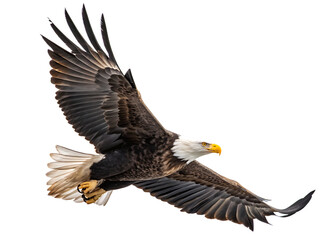 Fototapeta premium spread wing bald eagle soars in the sky isolate on white background png. AI Generated 