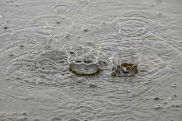 Abstract pattern and texture background of rain splashes in the yard. For graphic design, 3D...