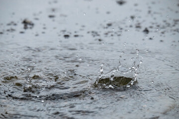 Abstract pattern and texture background of rain splashes in the yard. For graphic design, 3D rendering and banner background