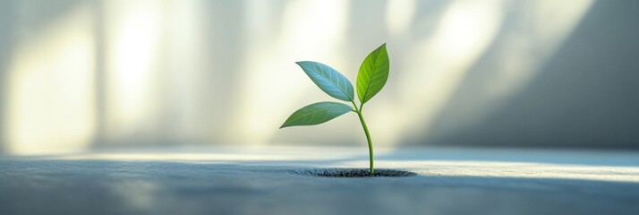 Abstract business concept symbolizing simplicity and clarity in modern strategy.